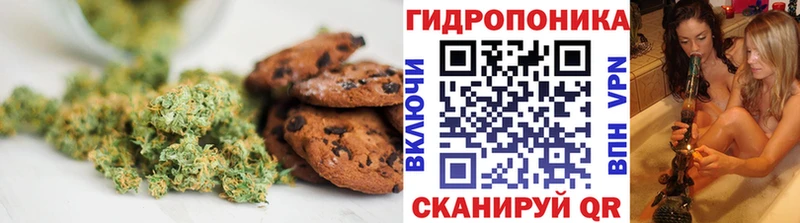 Canna-Cookies марихуана  Купить где  Сортавала 