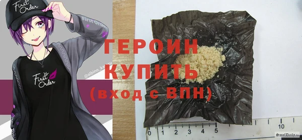 стаф Ельня