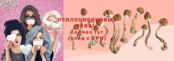 прущая мука Елабуга