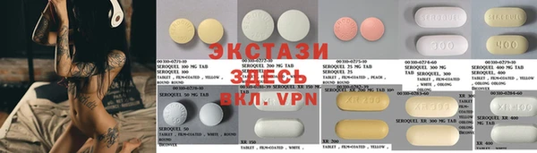 стаф Ельня