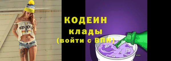 соль ск Елизово