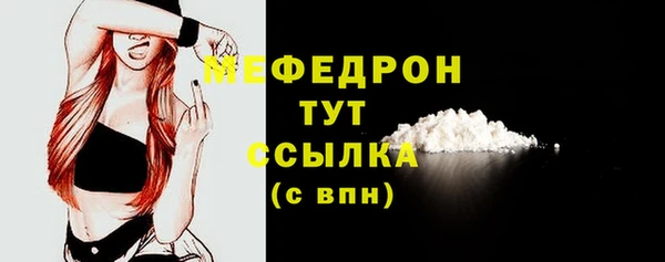 стаф Ельня