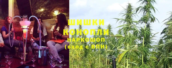 стаф Ельня