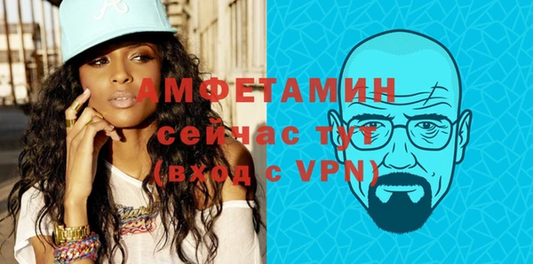 стаф Ельня