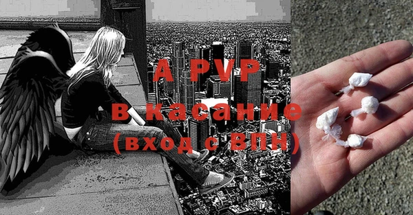 стаф Ельня