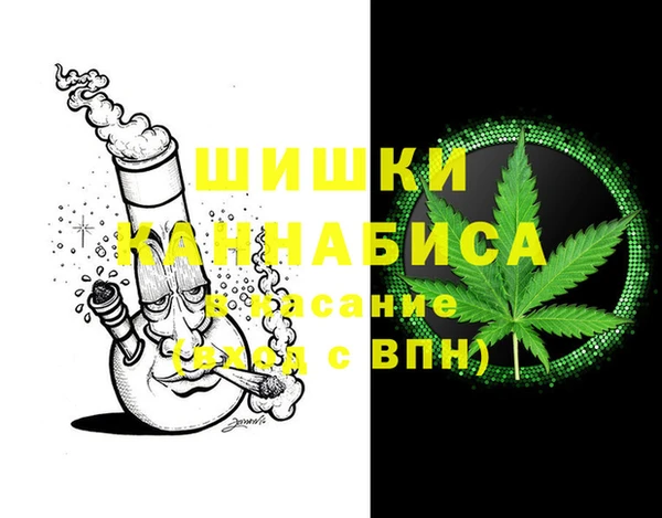 стаф Ельня