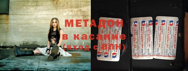 стаф Ельня