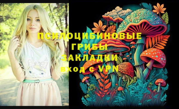 прущая мука Елабуга