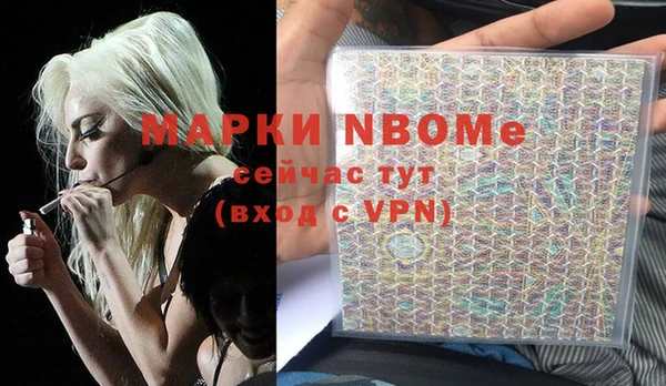 стаф Ельня