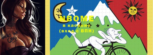 стаф Ельня