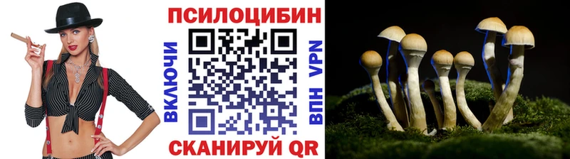 Галлюциногенные грибы Magic Shrooms  Купить  Сортавала 